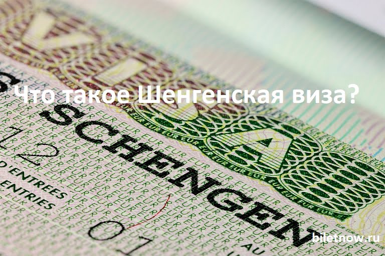 Что такое Шенгенская виза: как оформить визу самостоятельно